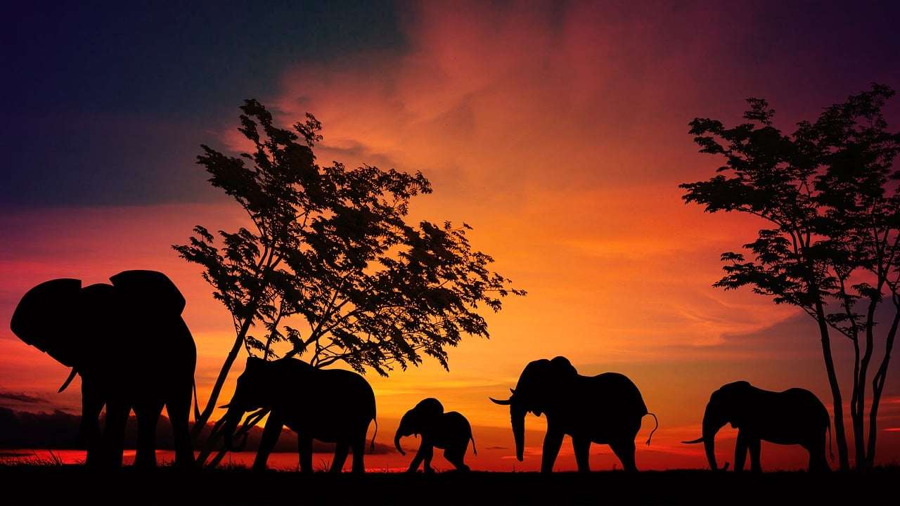 tanzania gdzie leży
