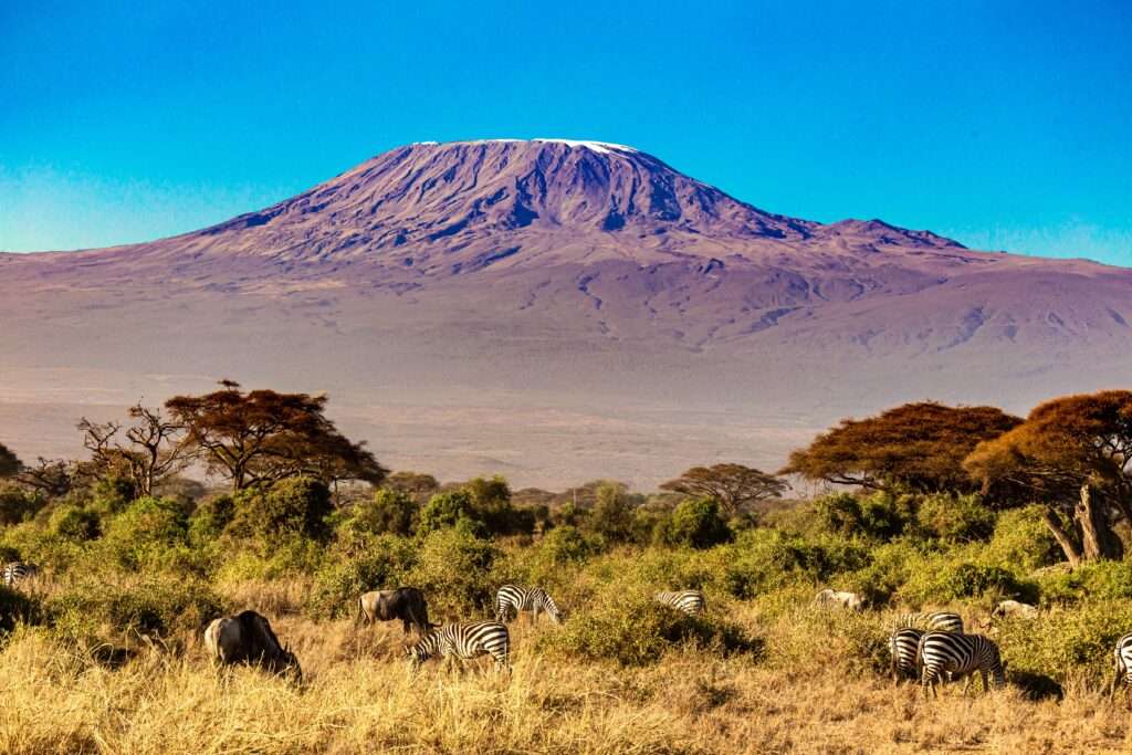 tanzania największe atrakcje kilimandżaro