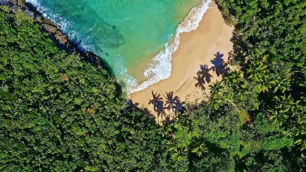 Morze, plaża Dominikana